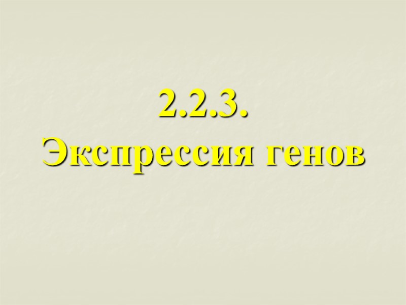 2.2.3.  Экспрессия генов